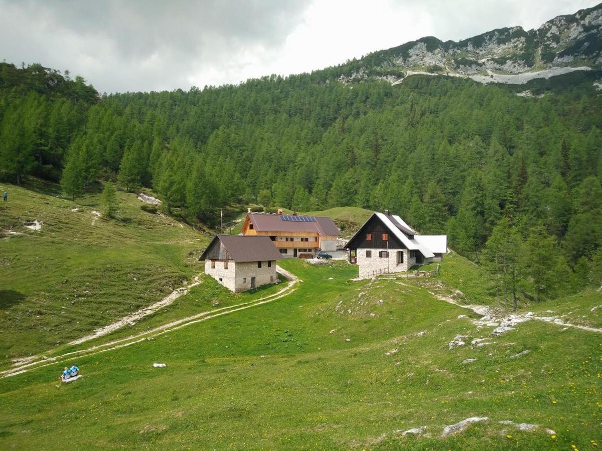 Homestead Zatrnik Near Bled Ngoại thất bức ảnh