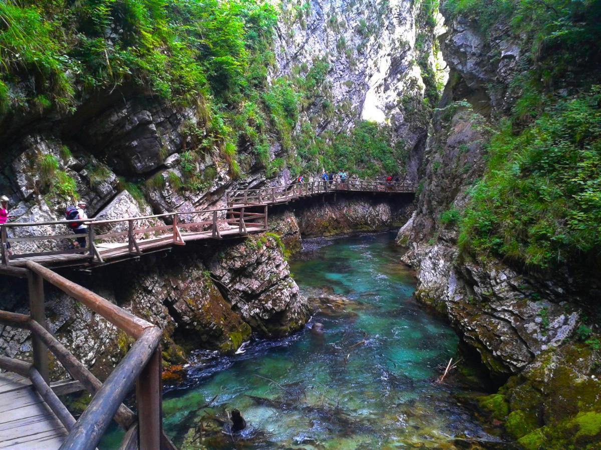 Homestead Zatrnik Near Bled Ngoại thất bức ảnh